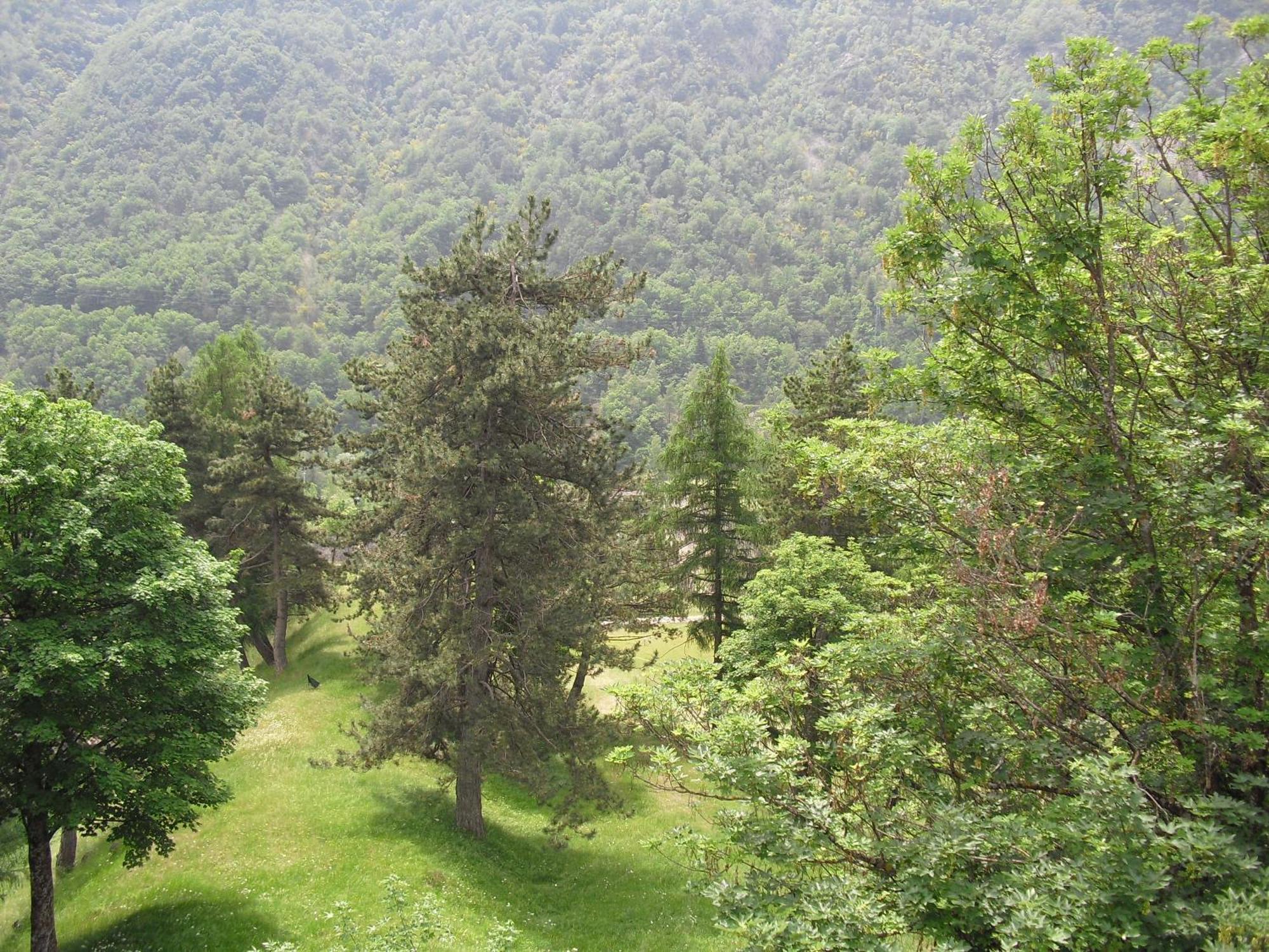 Chalet Monte Nebius Vinadio Exterior photo
