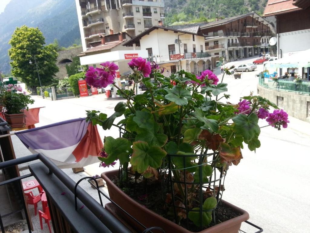 Chalet Monte Nebius Vinadio Room photo